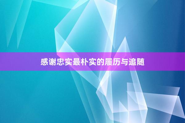 感谢忠实最朴实的履历与追随