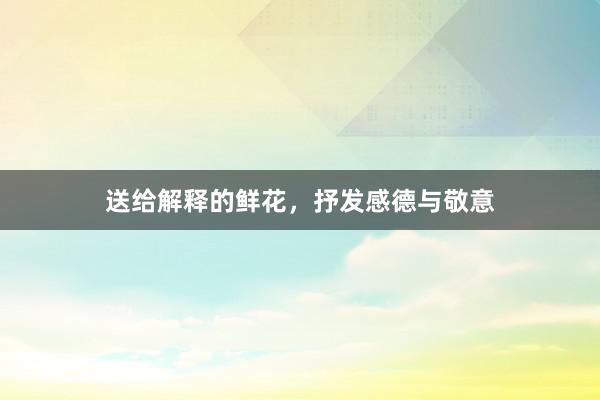 送给解释的鲜花，抒发感德与敬意